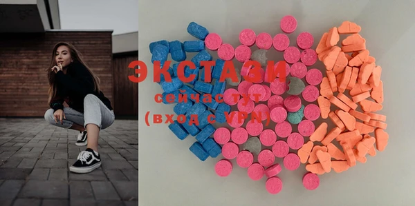 гашик Дмитров