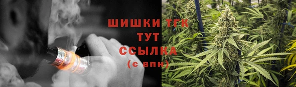 гашик Дмитров