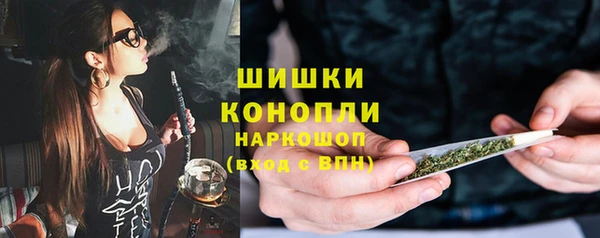 гашик Дмитров