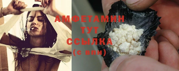 гашик Дмитров