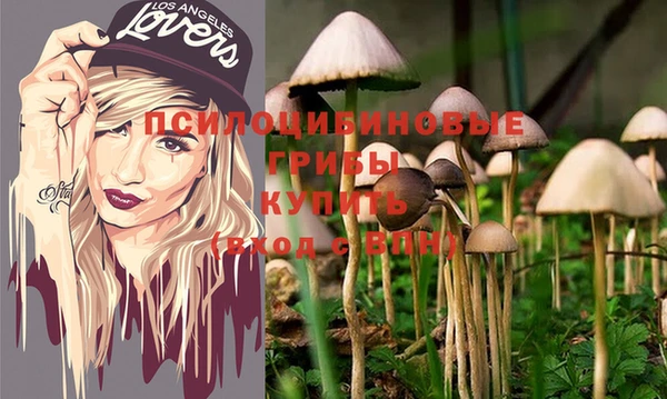 мдма Дмитриев