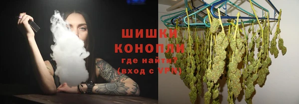 гашик Дмитров