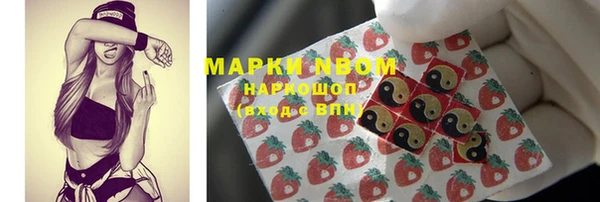 гашик Дмитров