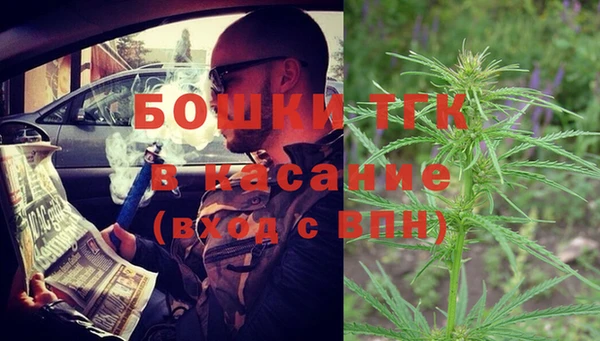 гашик Дмитров