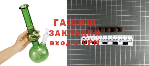 гашик Дмитров