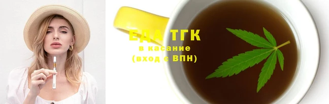 гашик Дмитров