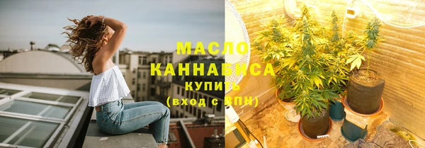 гашик Дмитров