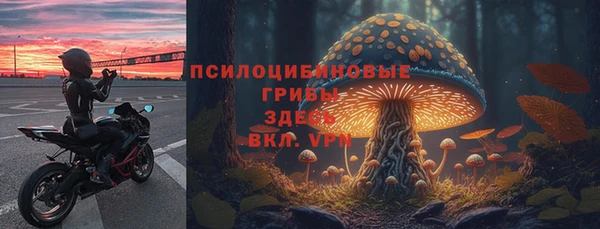 а пвп мука Дмитровск