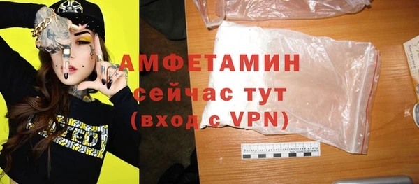 гашик Дмитров