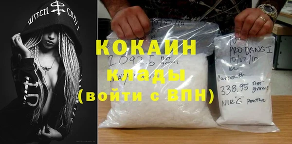 гашик Дмитров