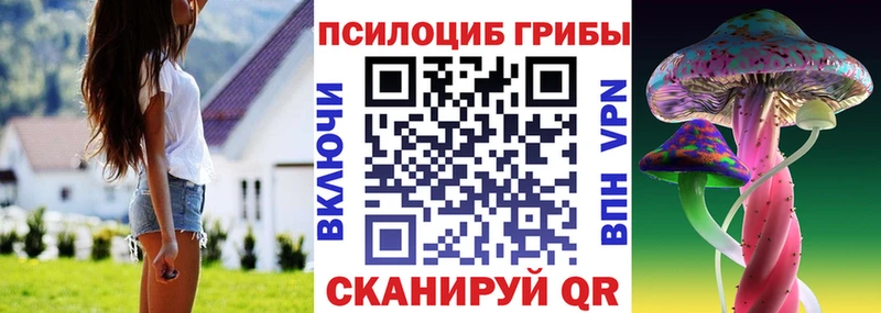 Галлюциногенные грибы Cubensis  Купить  Отрадная 